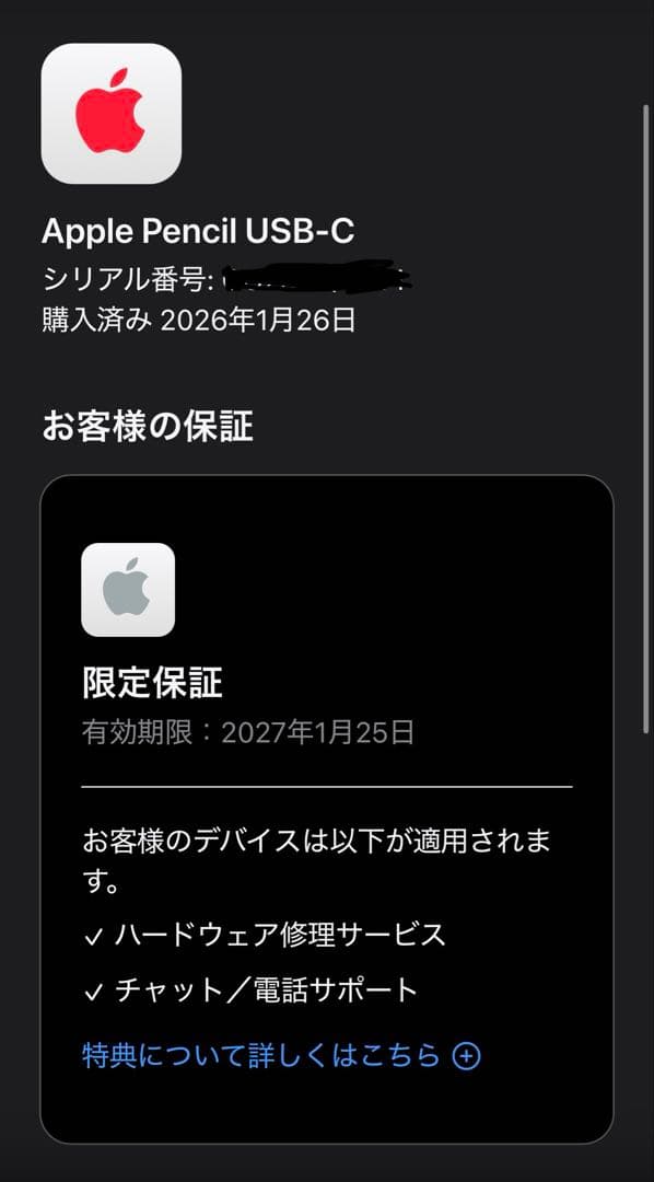 [新品]Apple Pencil USB-C