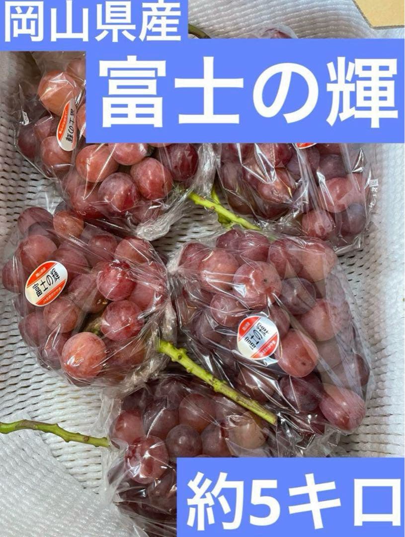 12【岡山県産】富士の輝　約5キロ