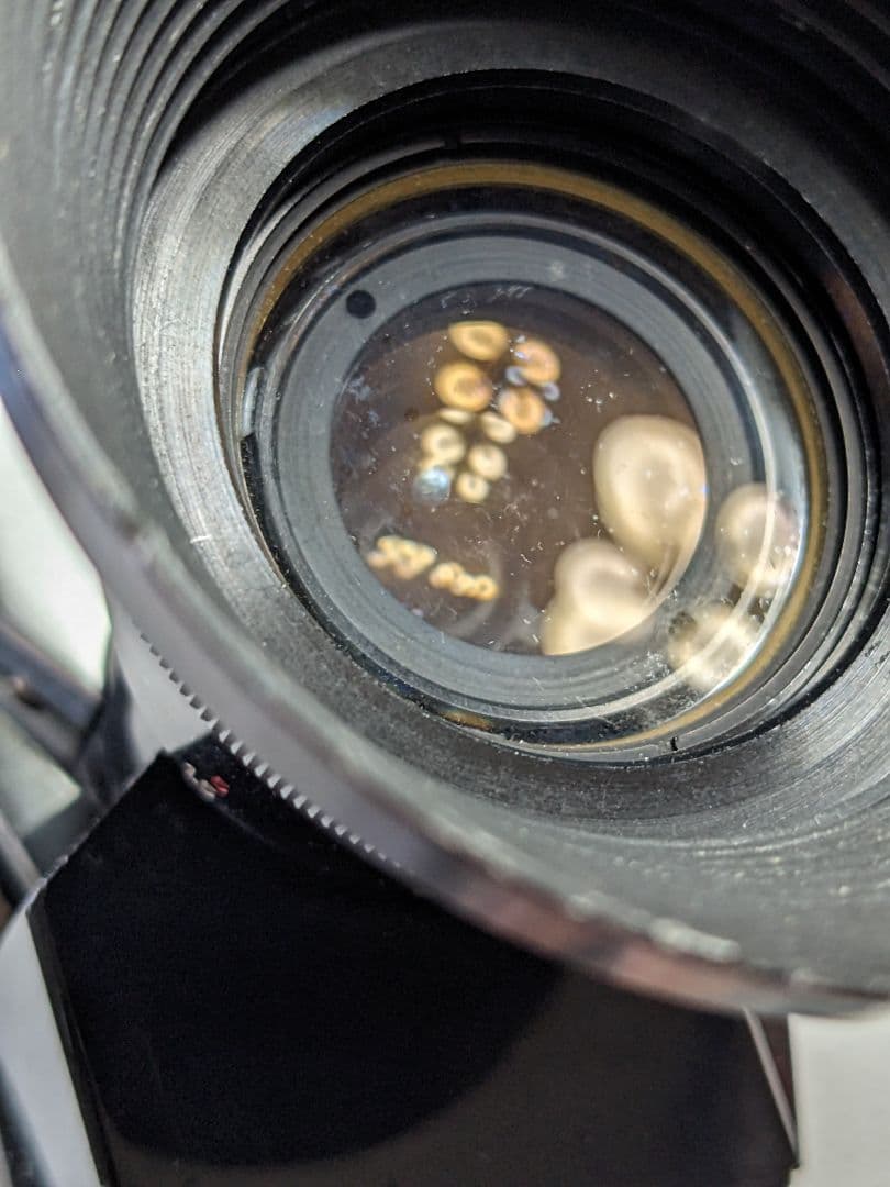 クラシックカメラ　bolex 　撮影機　レトロカメラ ボレックス レトロポップ