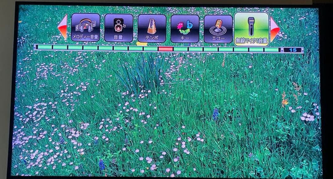 オンステージ カラオケ マイク2台　デュエット　1000曲内蔵　新品電池付