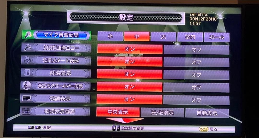 オンステージ カラオケ マイク2台　デュエット　1000曲内蔵　新品電池付