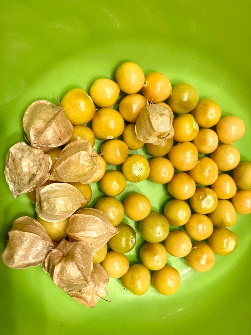 専用出品です　食用ほおずきトマチロコサックパイナップル2kg