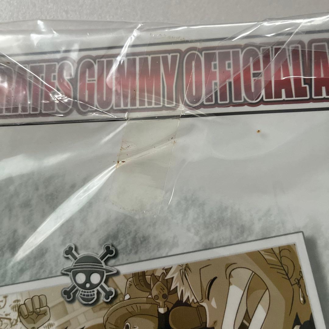 ワンピース海賊王グミキャンペーン　当選品　オフィシャルファイル　限定カード付