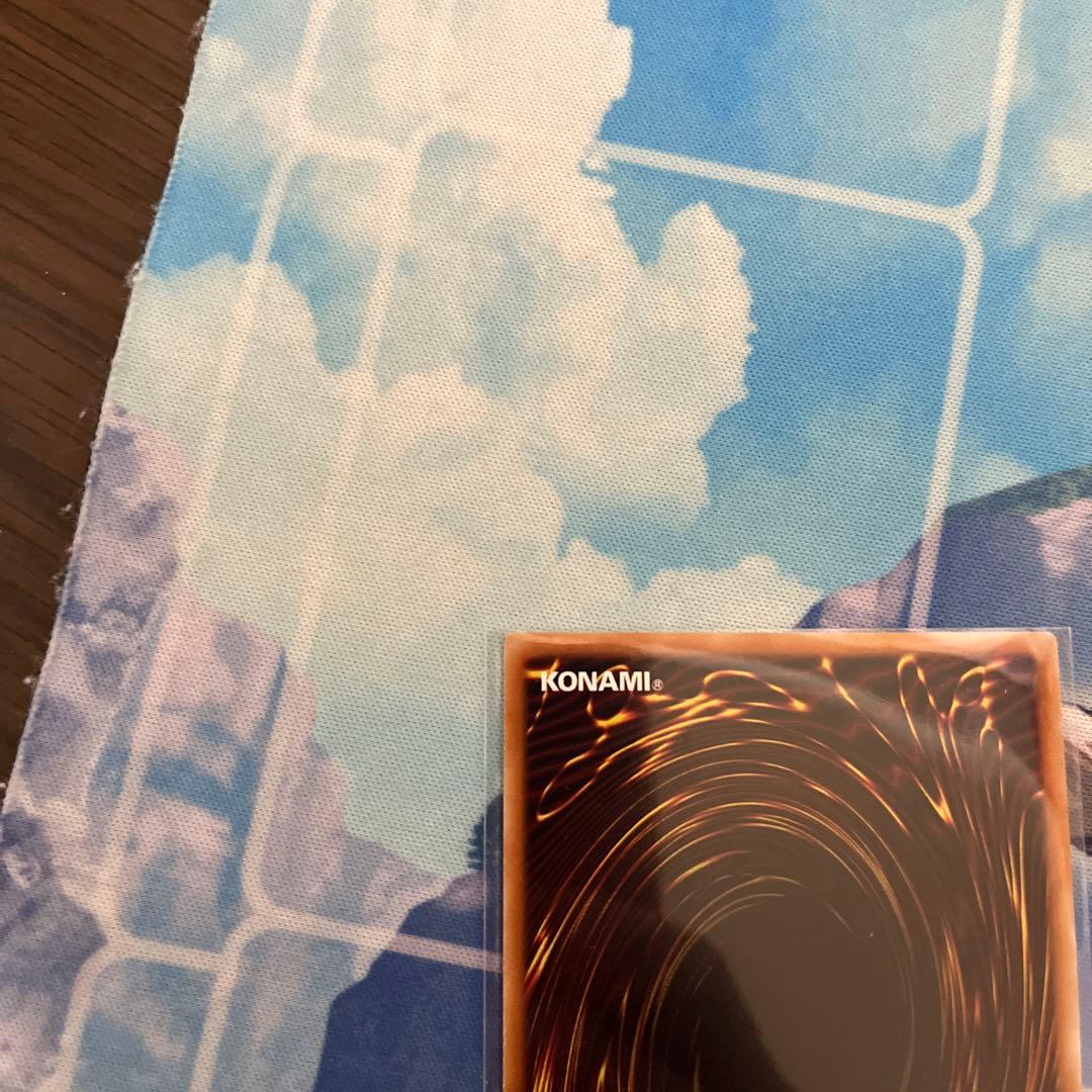 遊戯王 大輪の霊使い プリシク⑧