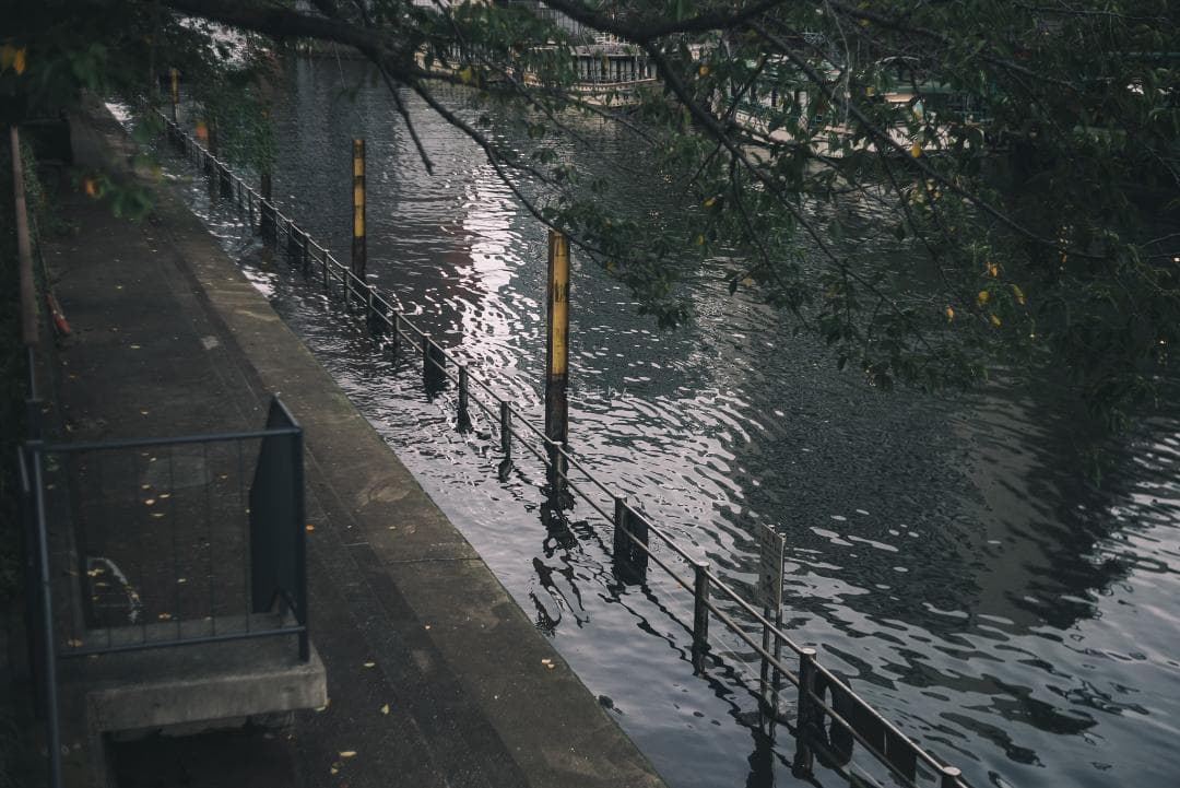 虹の出る癖玉！Leica Summar 50mm f2 オールドレンズ