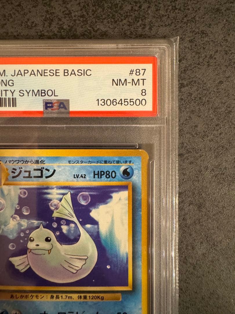 【PSA8 初版】ジュゴン ポケモンカード 旧裏 初版 マークなし