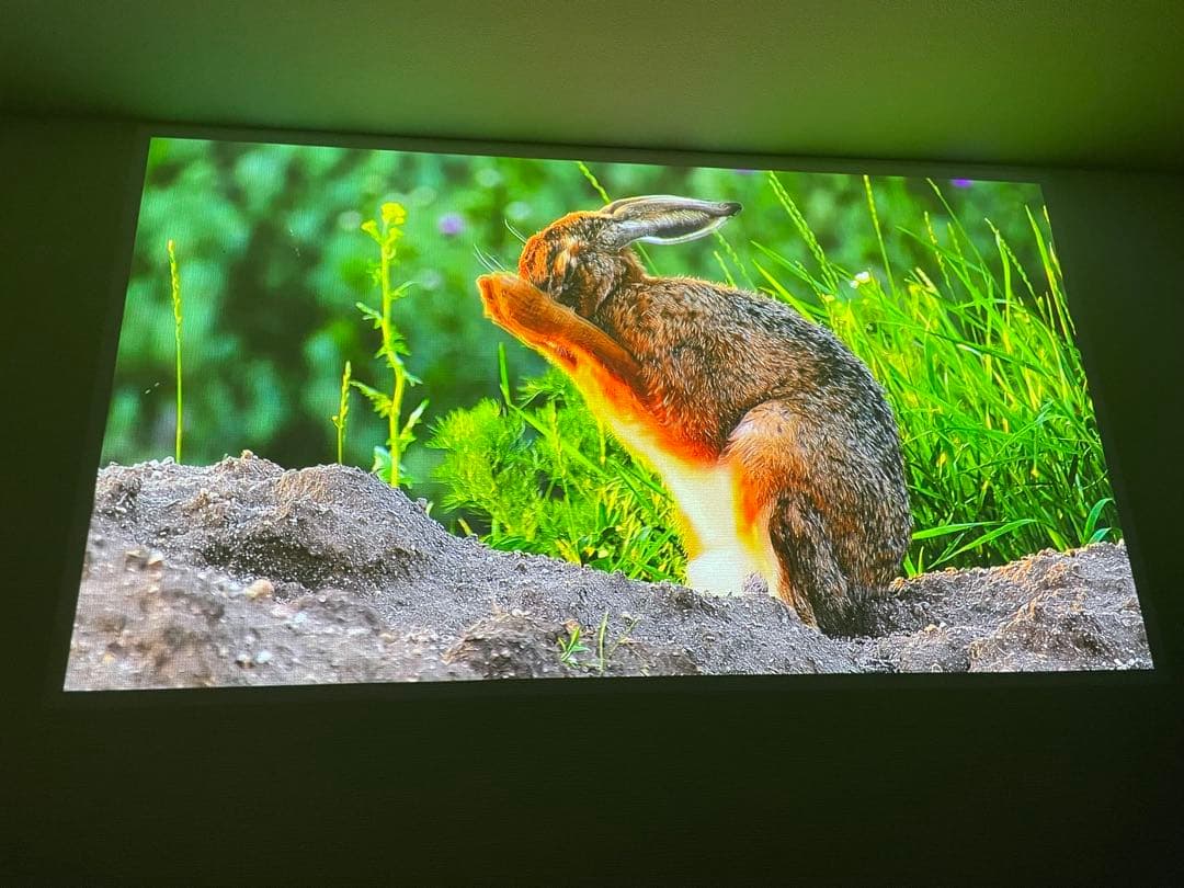 Anker Nebula Nova 天井プロジェクター 本体