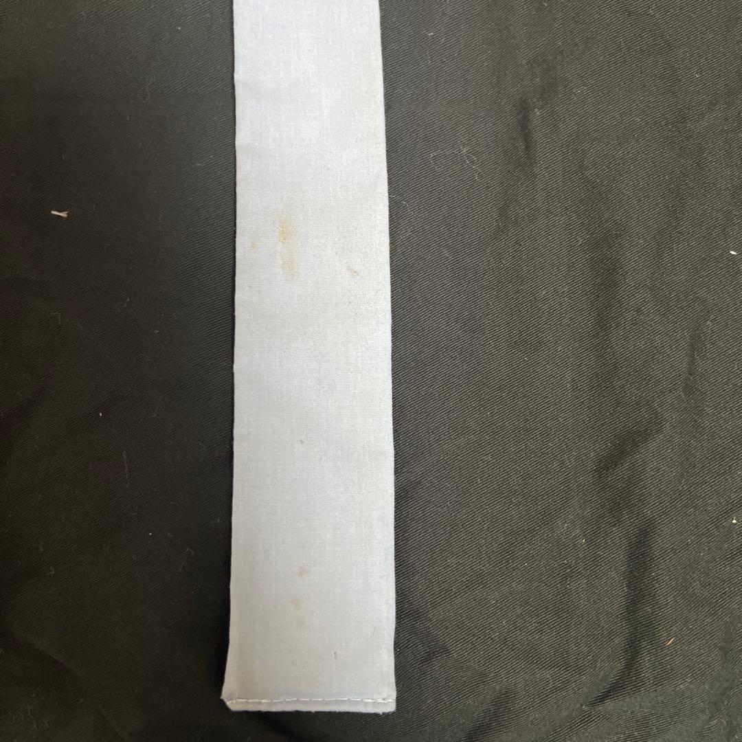 妖*狐様 ダイワ　ヘラブナ竿　HERA S F-SPEC　ヘラS fスペック　九