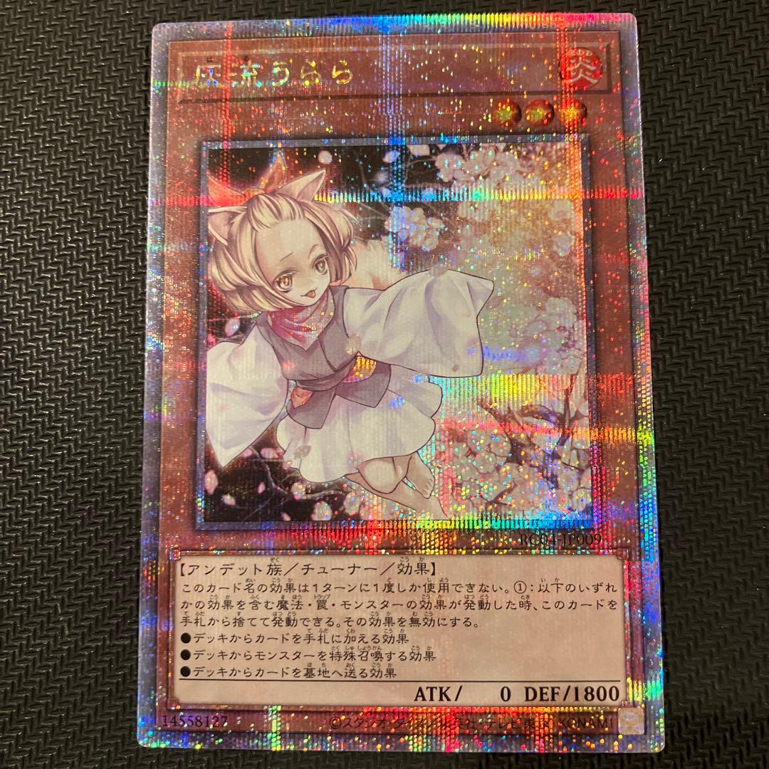 最安値 ハルウララ 灰流うらら 25th クオシク