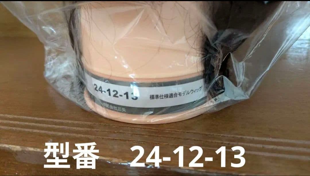 美容師国家試験用 カットウィッグ