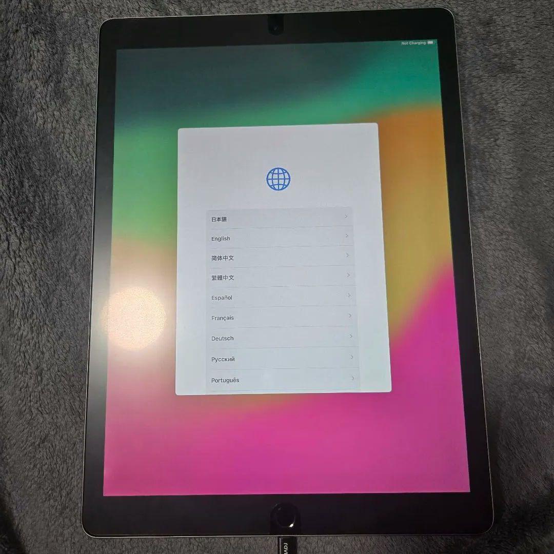 【値下げ】iPad Pro (12.9インチ) 第2世代 256GB