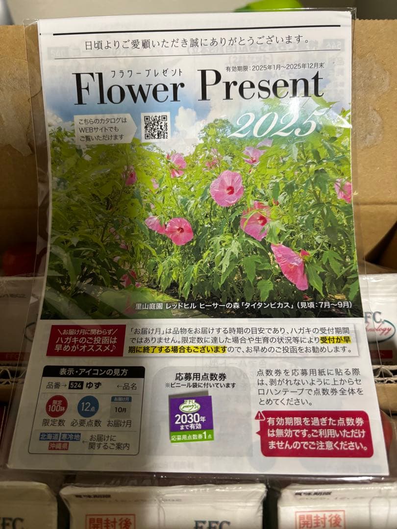 【新品】FFCパイロゲン900ml✖️6本