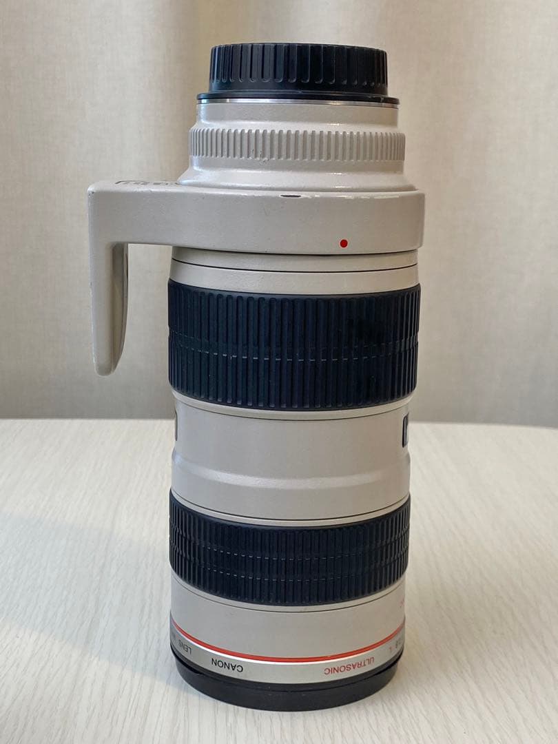 L*y様 実用動作品　Canon EF 70-200mm f/2.8L