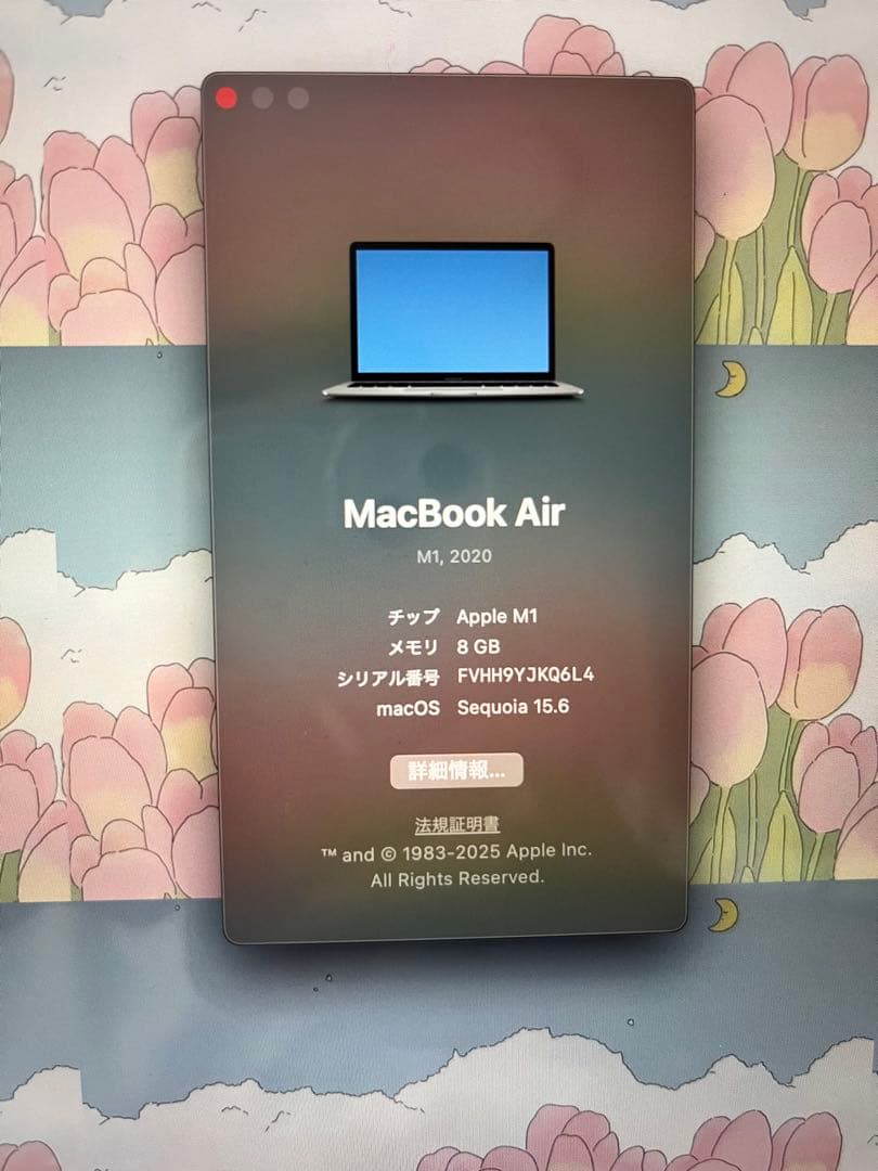 [美品]動作確認済み！Apple MacBook Air M1 2020