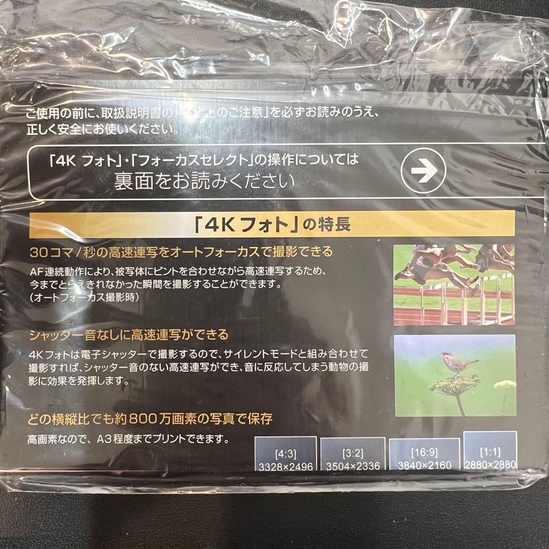 Panasonic LUMIX DC-GF10 ブラック ボディ 美品