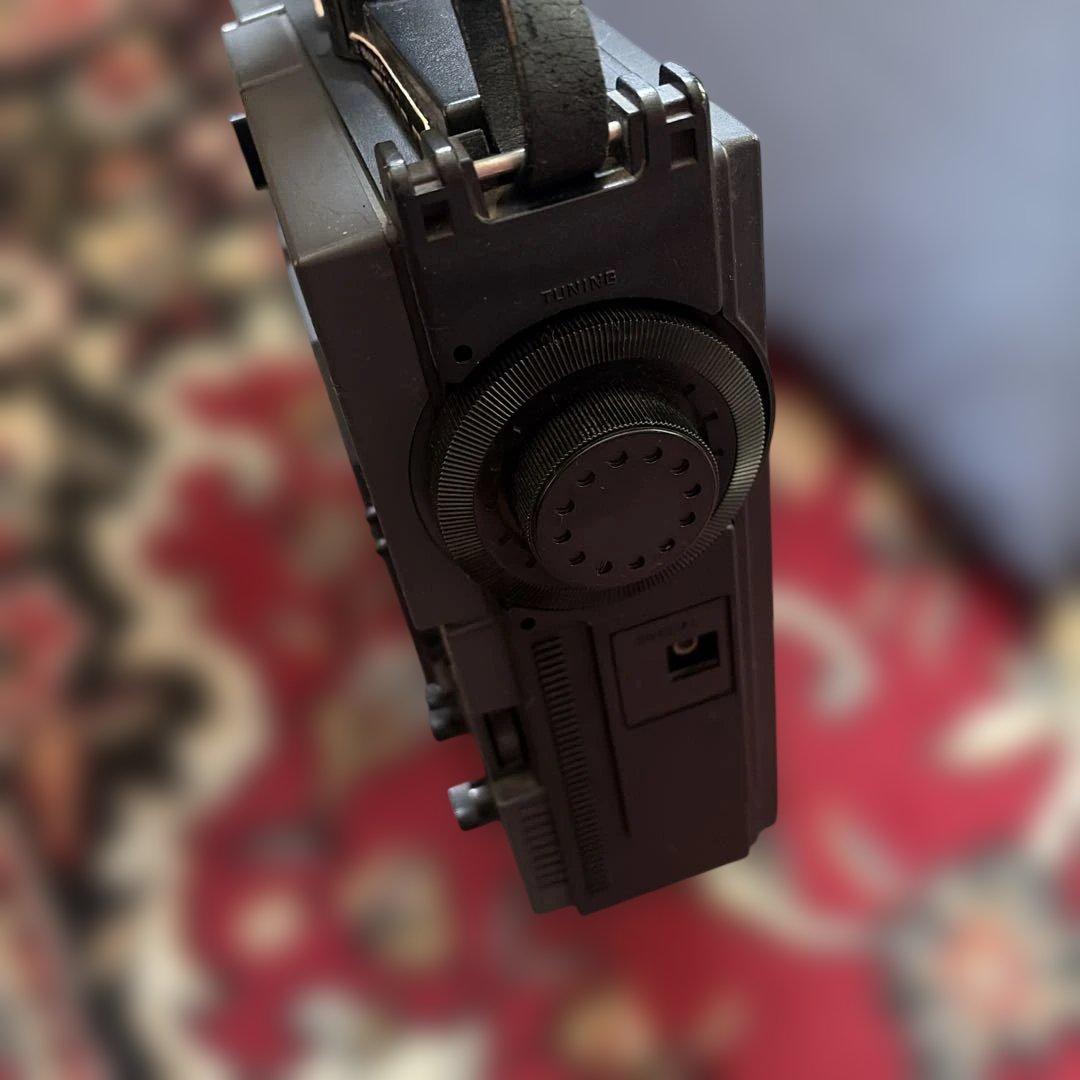 フェン　National Panasonic Cougar