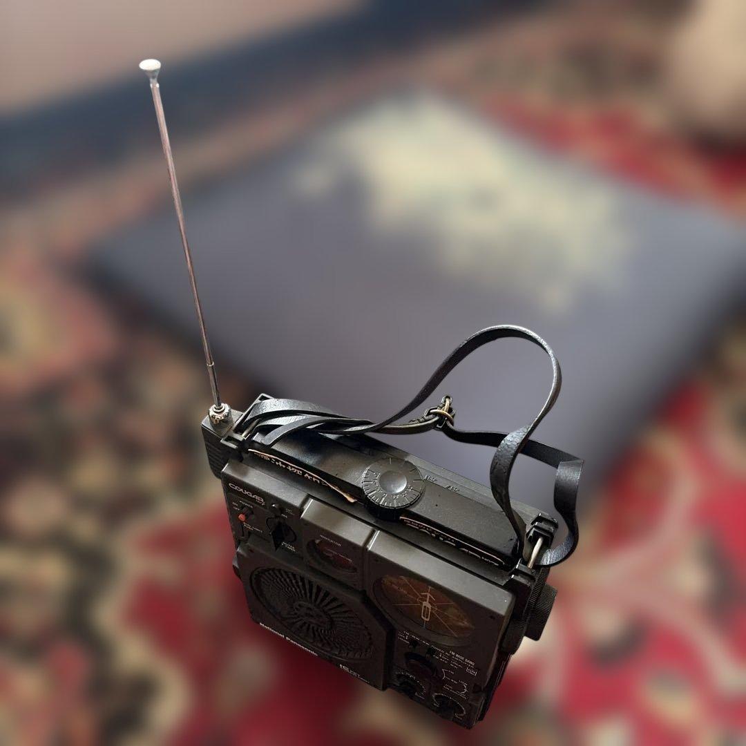 フェン　National Panasonic Cougar