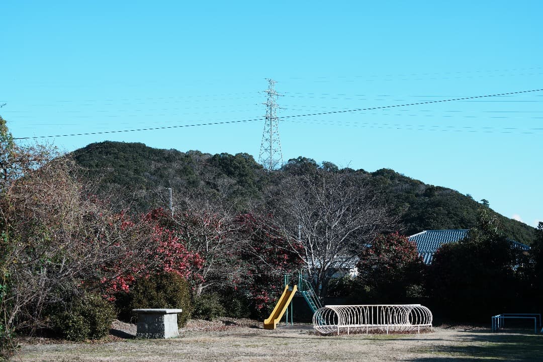 Olympus G.Zuiko auto 50mm F1.2 オリンパス 808