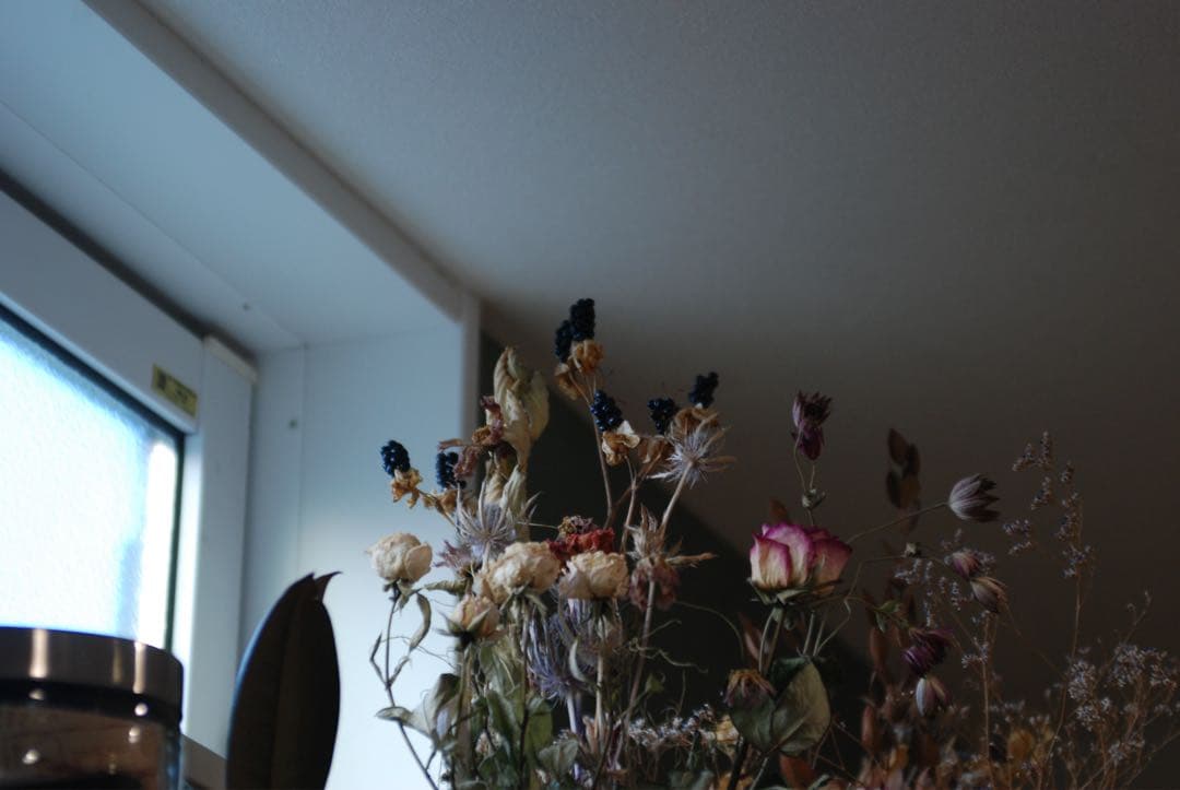 Nikon D80 CCDデジタル一眼ズームニッコール　35-70 MFレンズ付