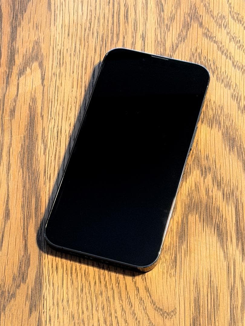 Apple iPhone 13 Pro グラファイト 256GB 本体・ケーブル