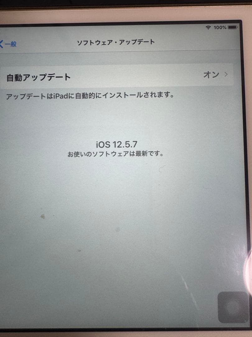 Apple iPad mini 第3世代 64GB ゴールド 美品 動作良好