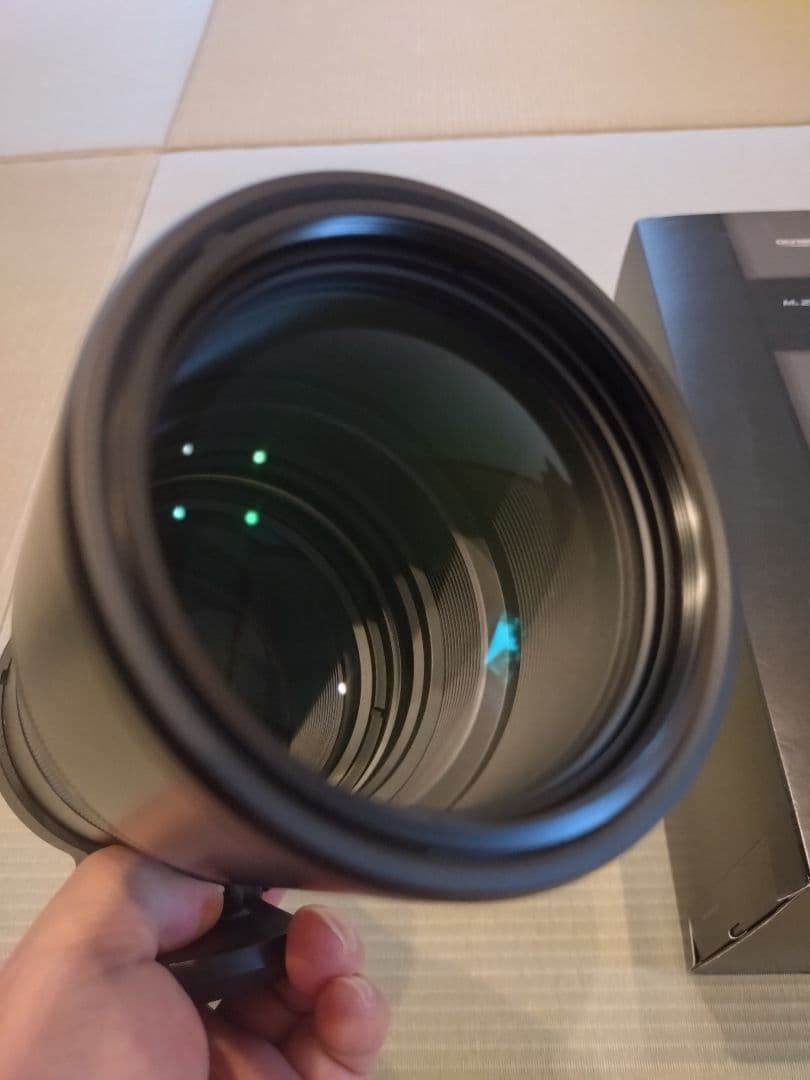 【はがが】M.ZUIKO DIGITAL ED 300mm F4.0 IS