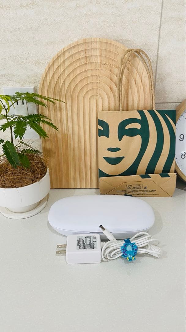 モイスティーヌⅣ 美顔器 2021年　サロン購入品