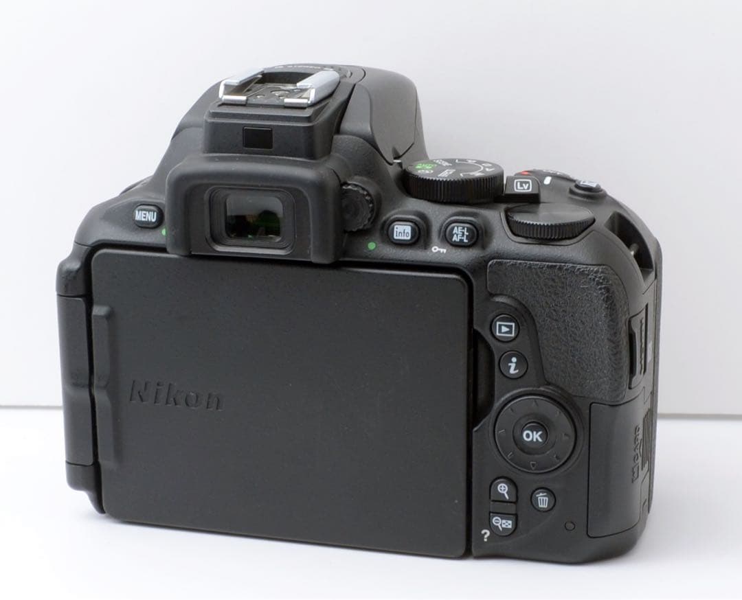S数約3900回★Nikon D5600★美品★Wi-Fi内蔵★簡単使いやすい