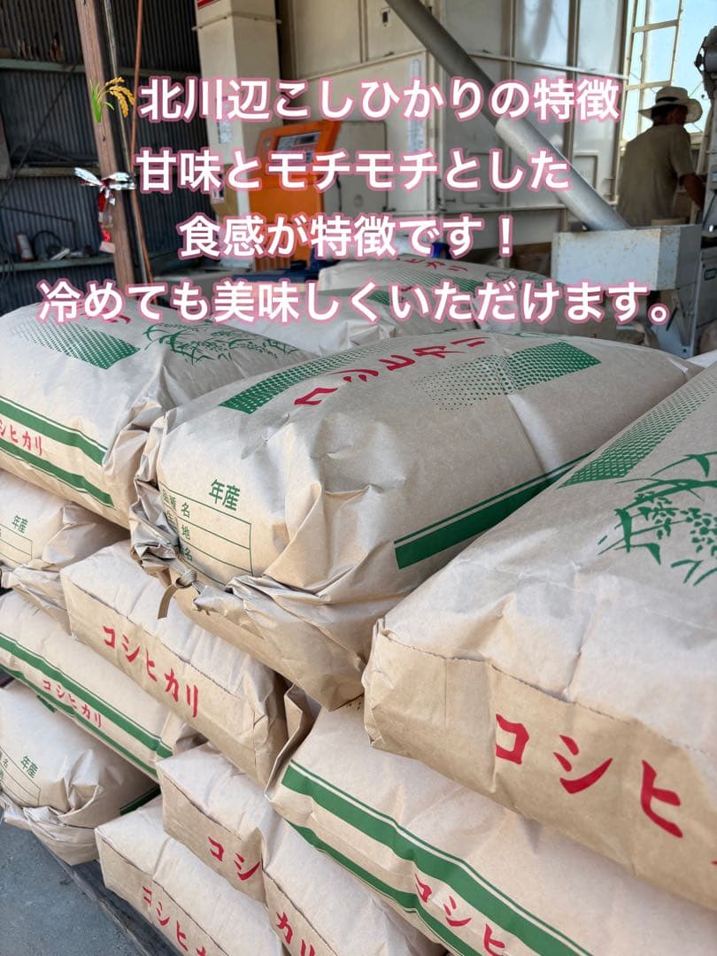 令和7年 新米 コシヒカリ 玄米30kg（白米27キロ）埼玉北川辺産 特別栽培米