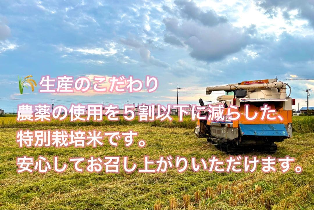 令和7年 新米 コシヒカリ 玄米30kg（白米27キロ）埼玉北川辺産 特別栽培米