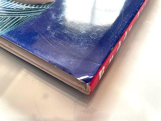 希少1999年 BUDDY LEE バディーリー コレクター 中古本 HDLEE