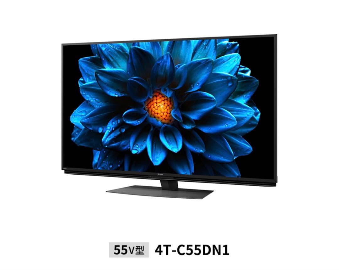 シャープ液晶テレビ4T-C55DN1