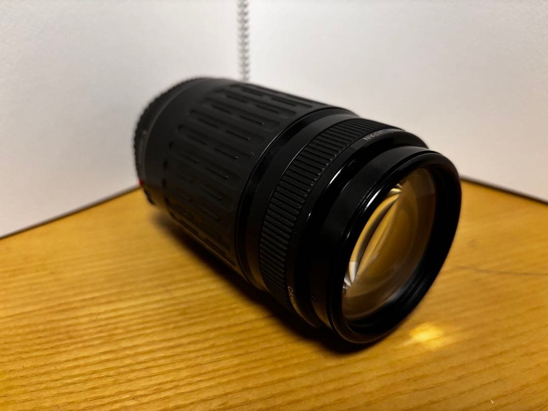 Canon EOS Kiss Digital X デジタル一眼レフカメラ