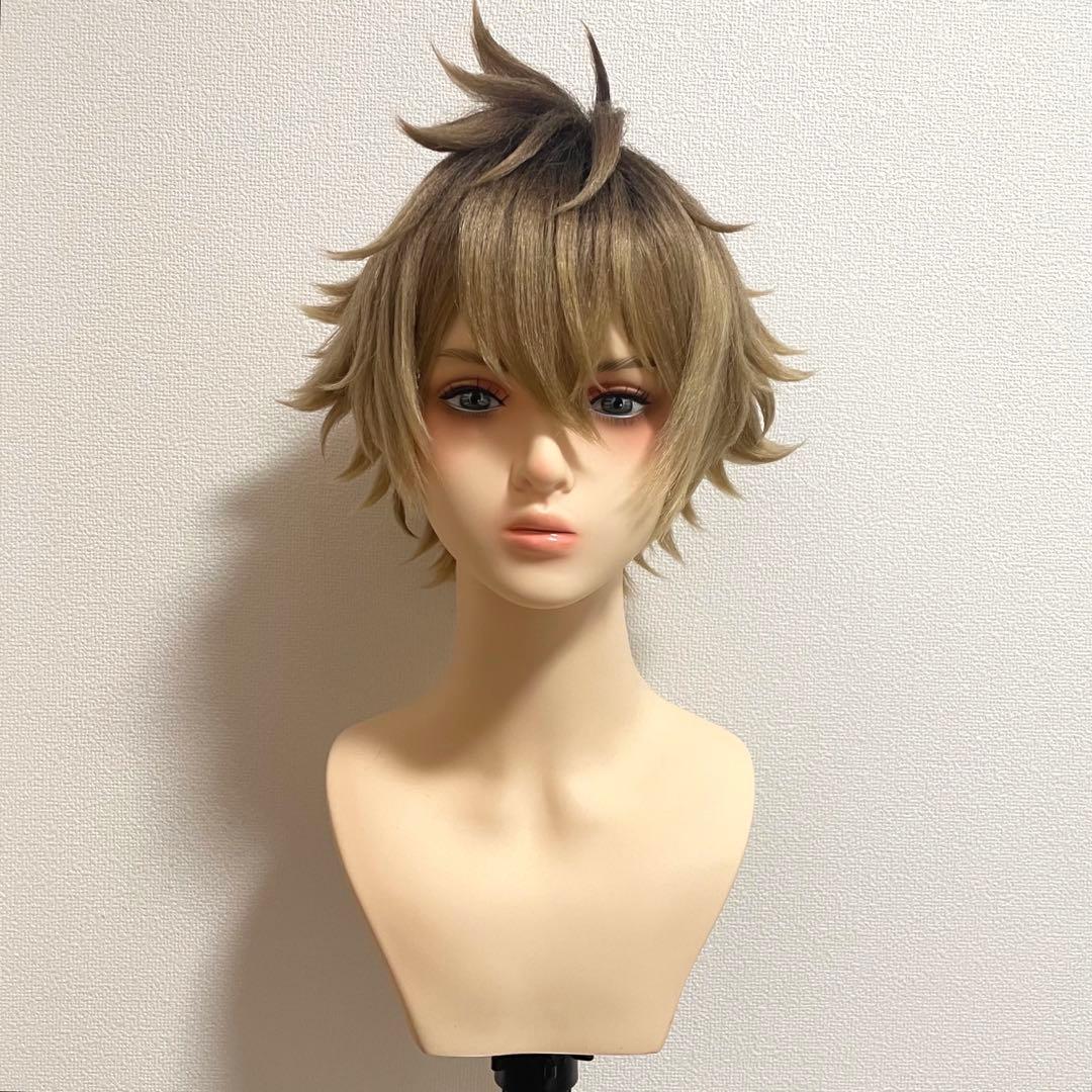 ツイステ　ラギー　ウィッグ