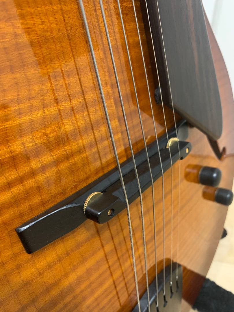 Sadowsky Jim Hall Model 初期型