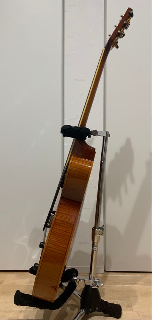 Sadowsky Jim Hall Model 初期型