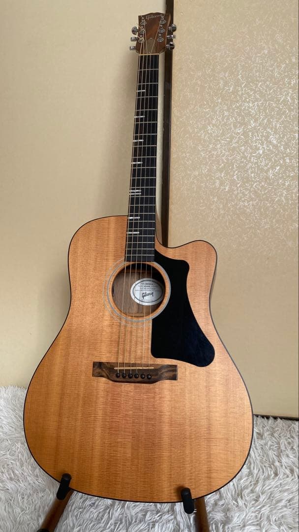 ギター Gibson G-Writer EC