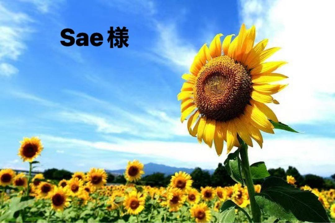 Sae様
