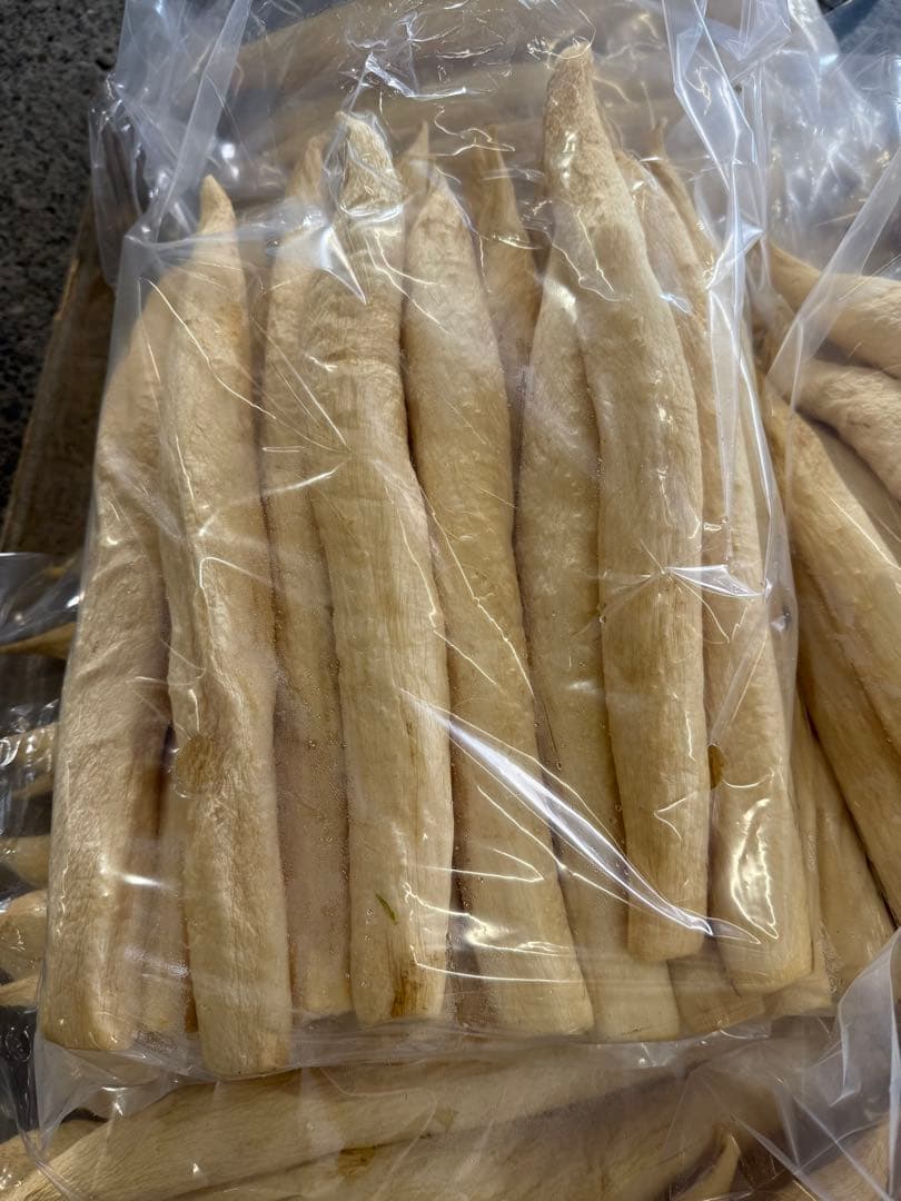 モリタ宮崎産干し大根10kg