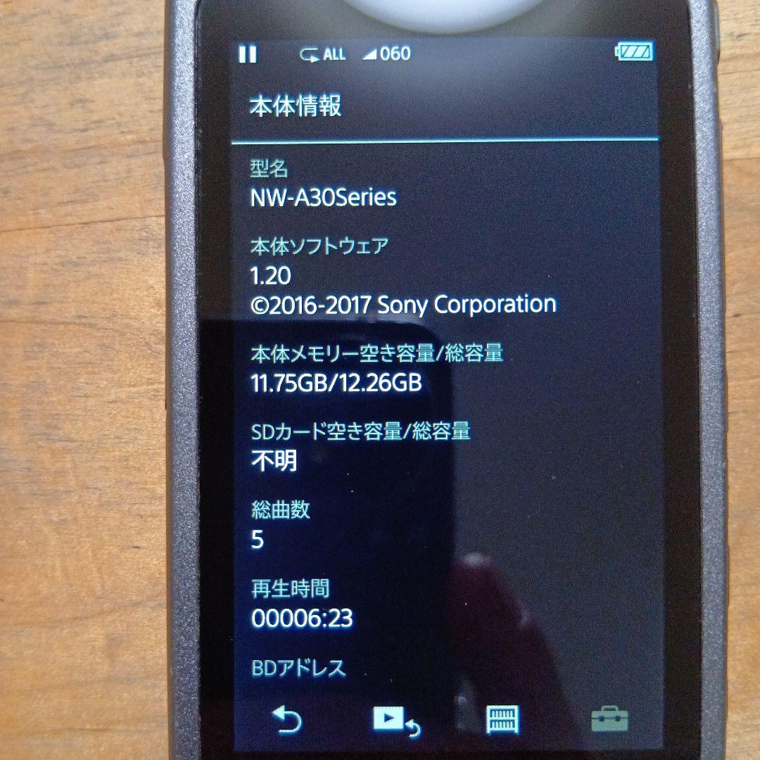 S*O様 SONYウォークマンNW-A35　16GB