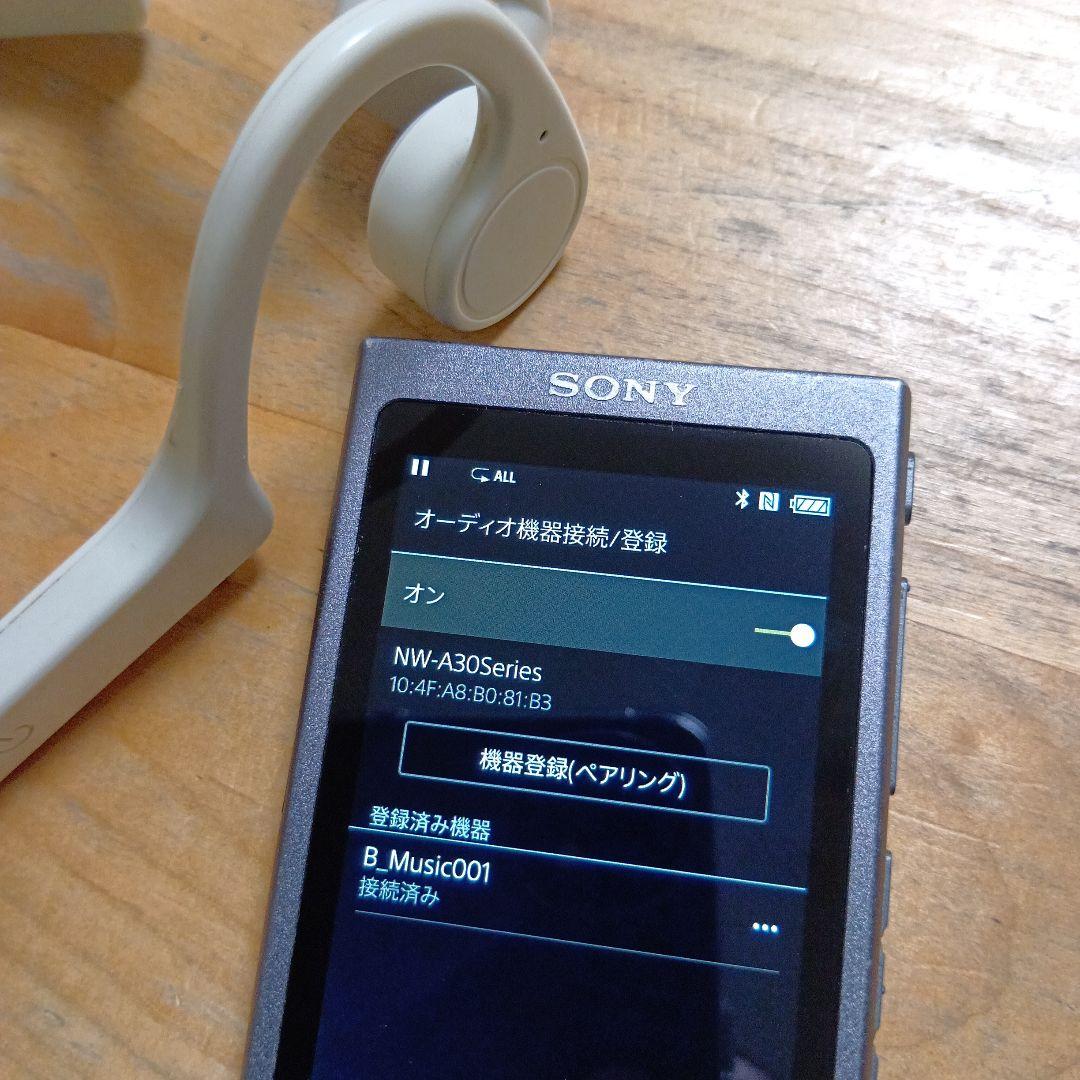 S*O様 SONYウォークマンNW-A35　16GB