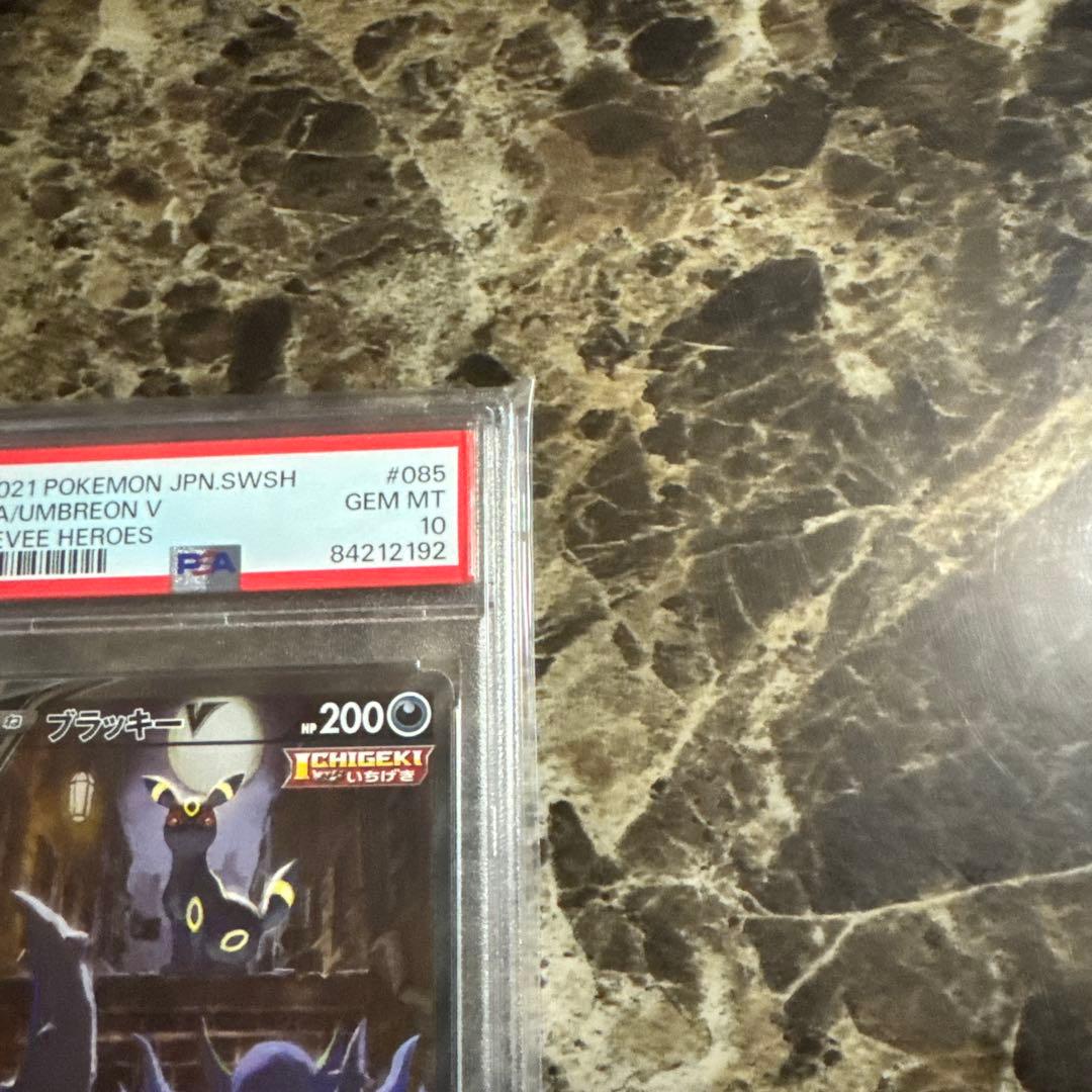 本日限定　ポケモンカードゲーム　ブラッキーV sa sr psa10
