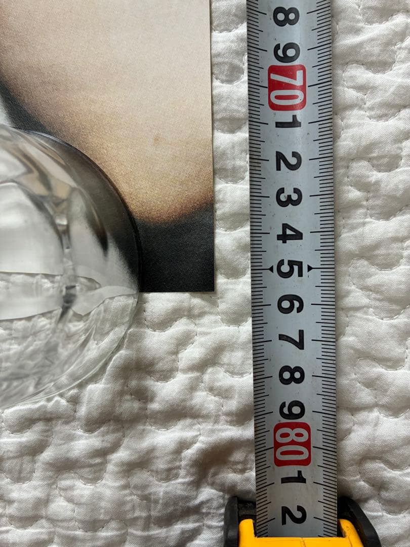 Supreme ポスター 2011ss レディー・ガガ