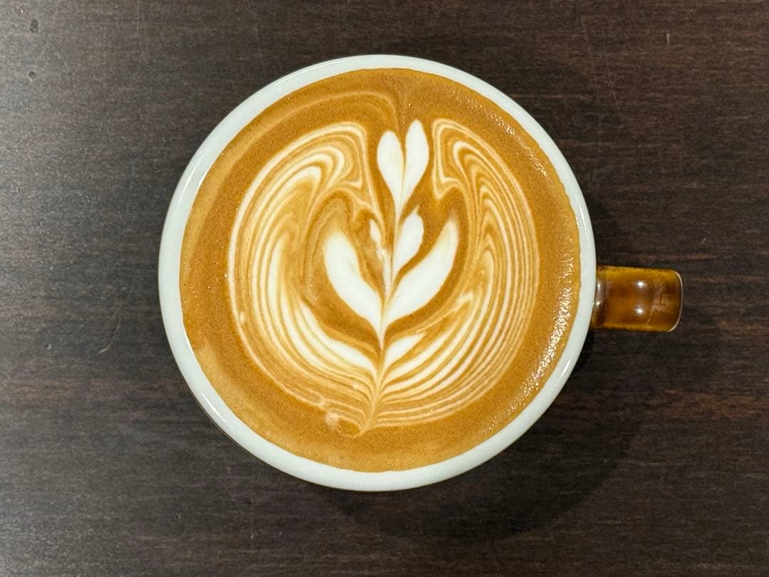 DeLonghi デディカ エスプレッソマシン ec680 本体+おまけ付き