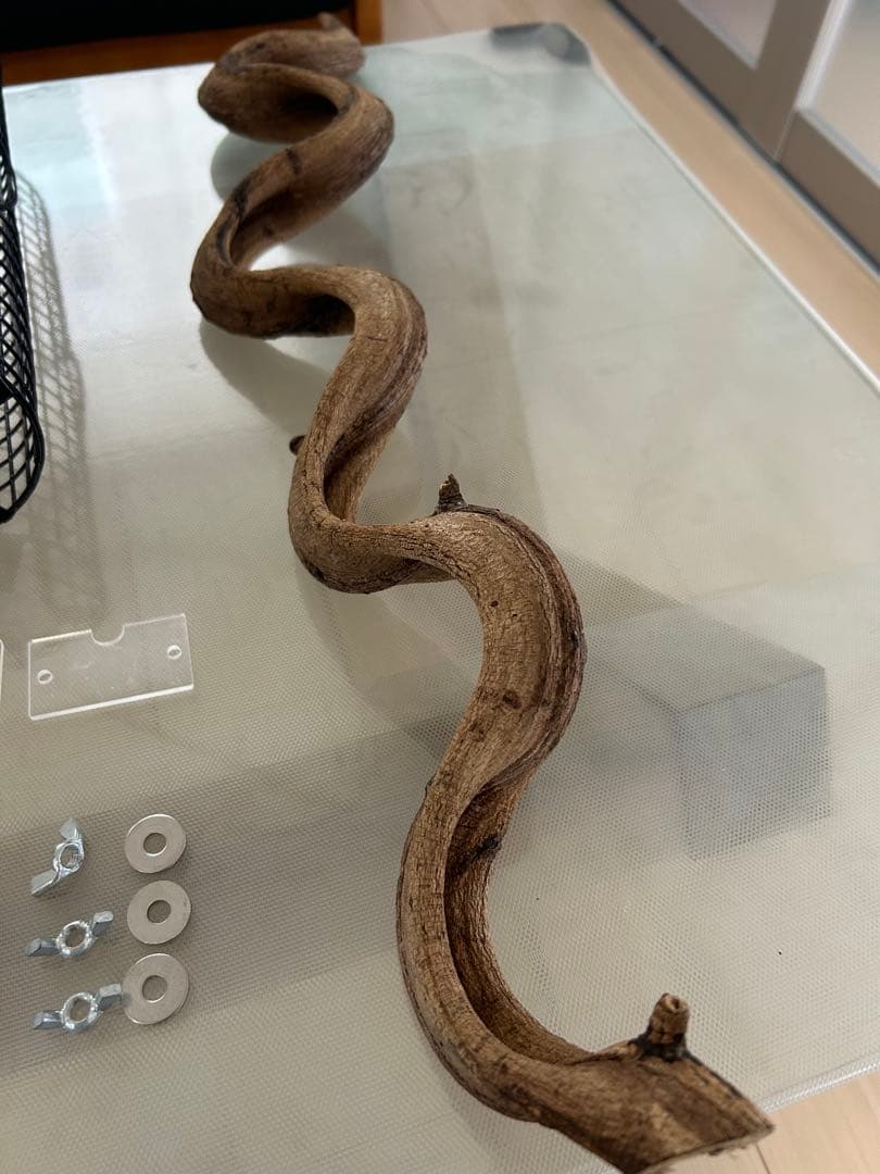 GEX アクリル ケージ ルーム 390 High フクロモモンガ