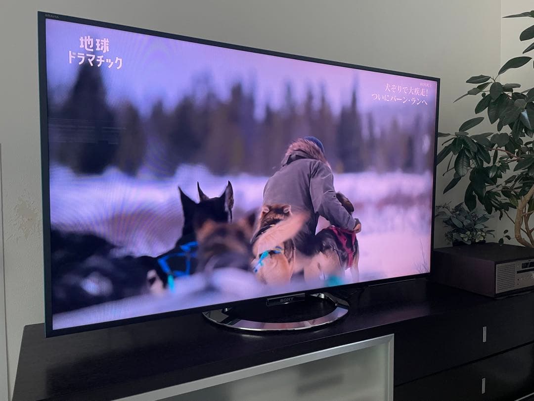 SONY BRAVIA 55インチ フルハイビジョン液晶テレビ