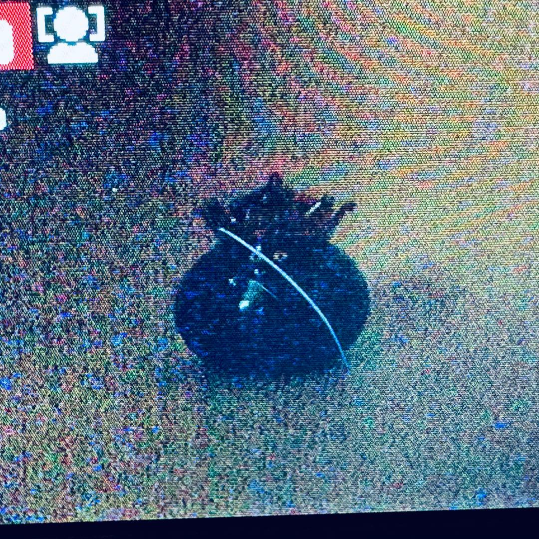 FUJIFILM FINEPIX F70EXR コンパクトデジタルカメラ