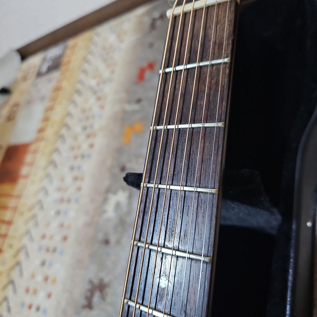 Aria.DreadnoughtAD-50トップ、バック単板! ハードケース付き