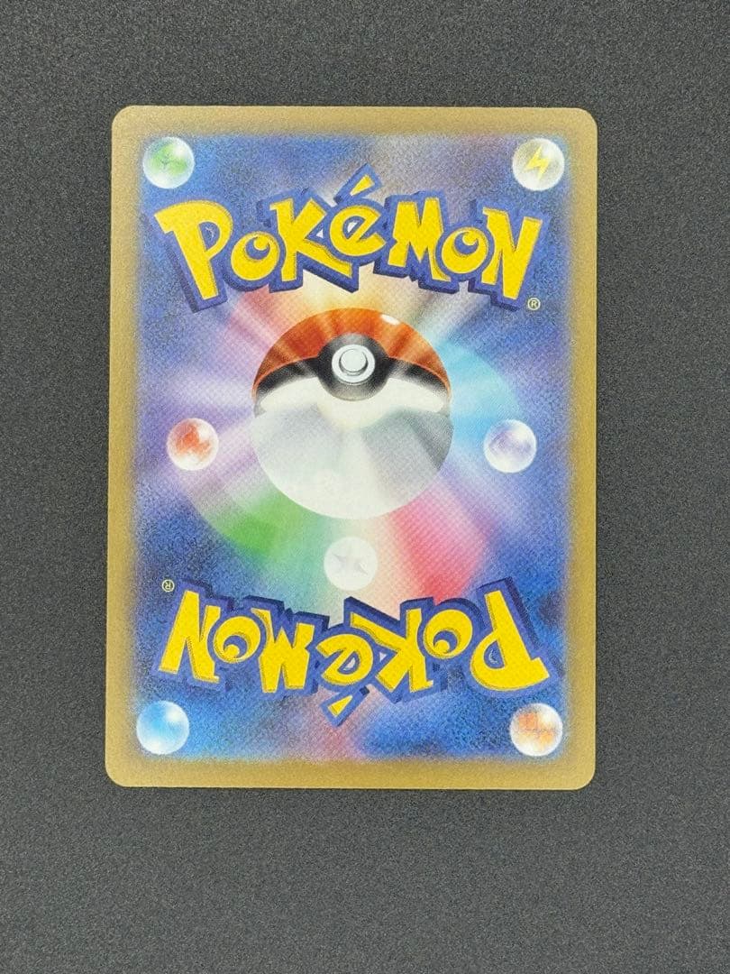 美品　カナリィ　SAR 即日発送可能