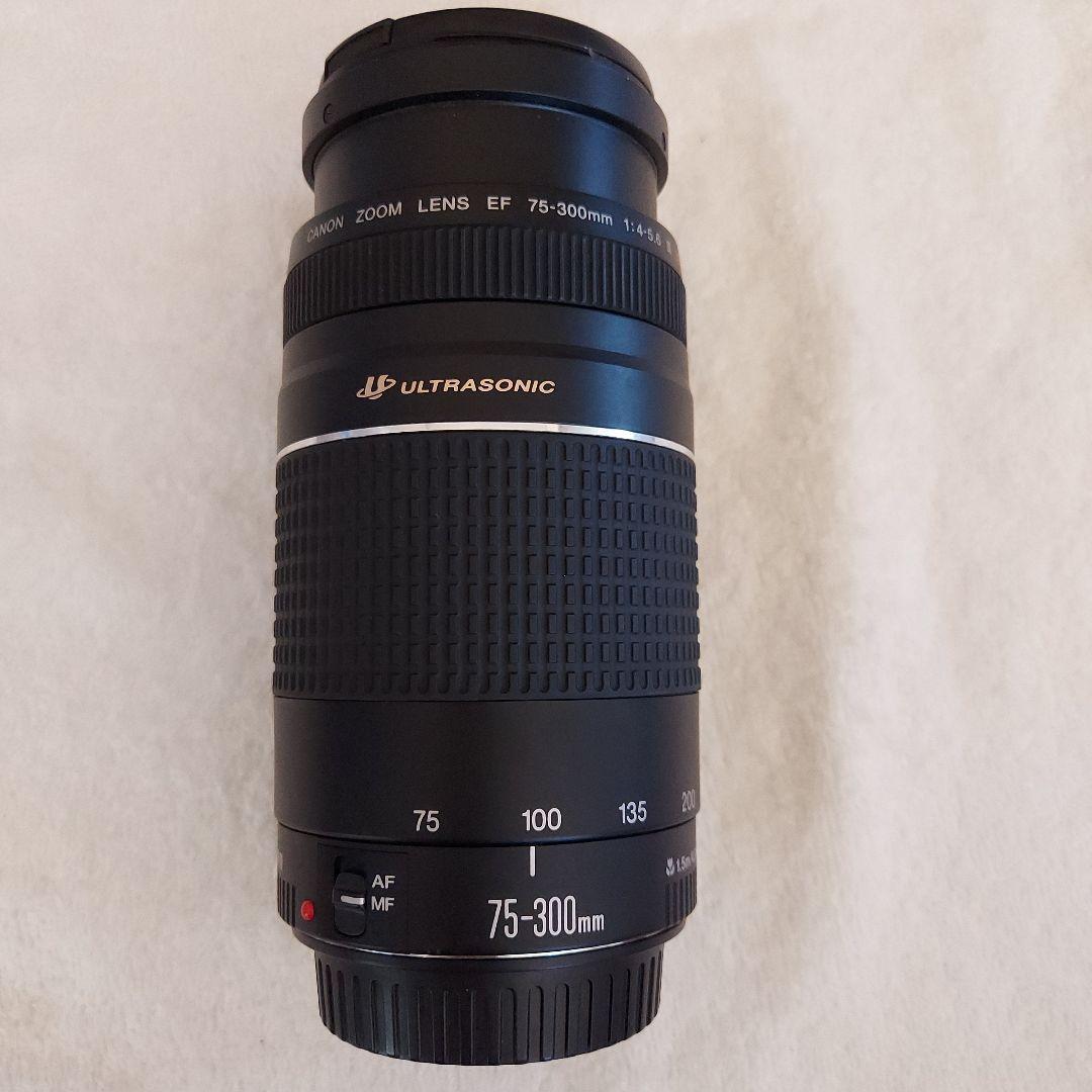 Canon EOS Kiss III 300mm望遠レンズ付